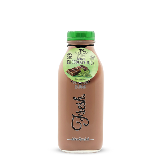 Mint Chocolate Milk