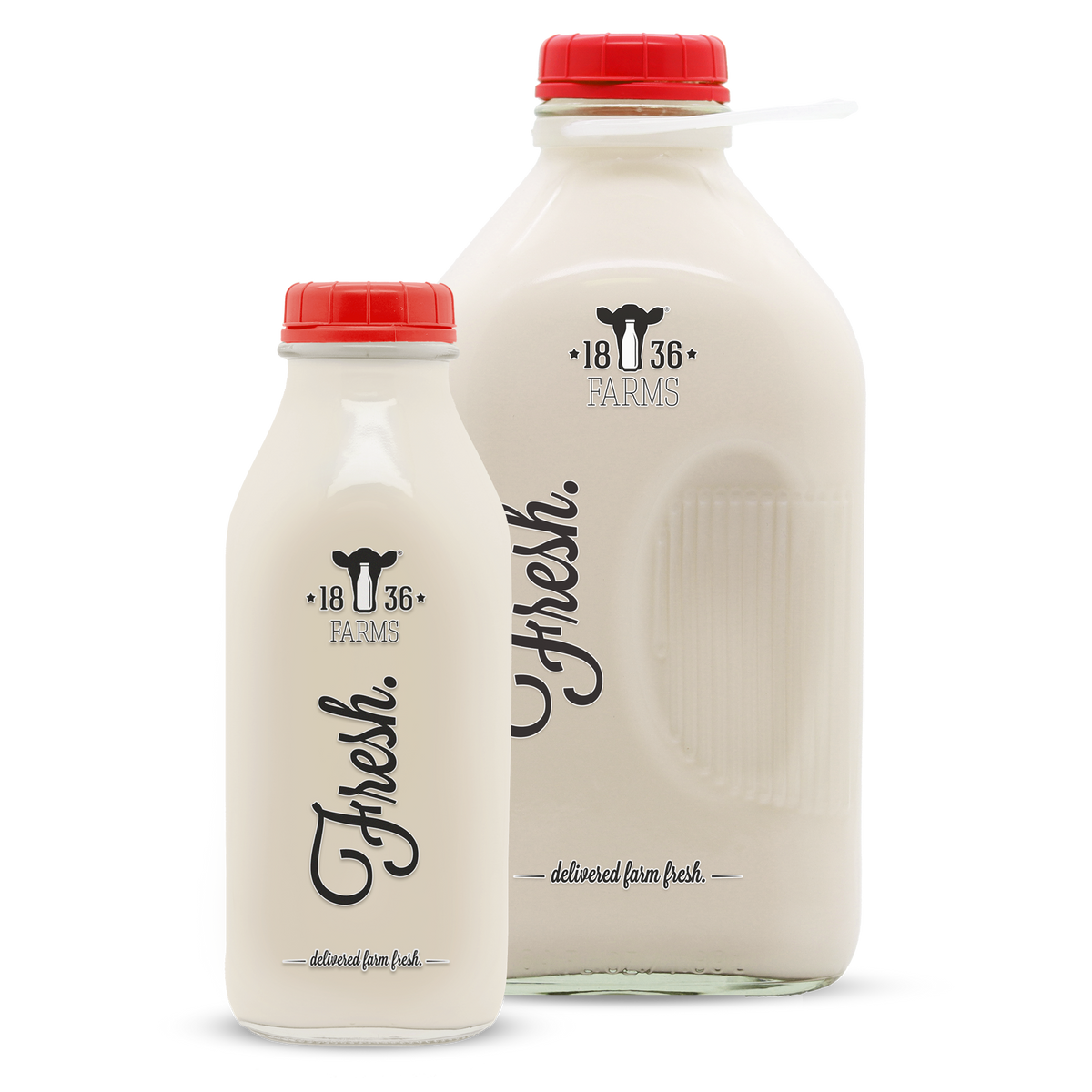 Whole Milk
