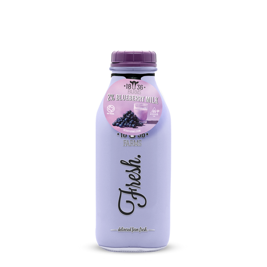 Blueberry Milk