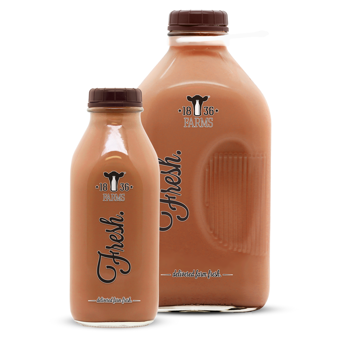 Chocolate Milk